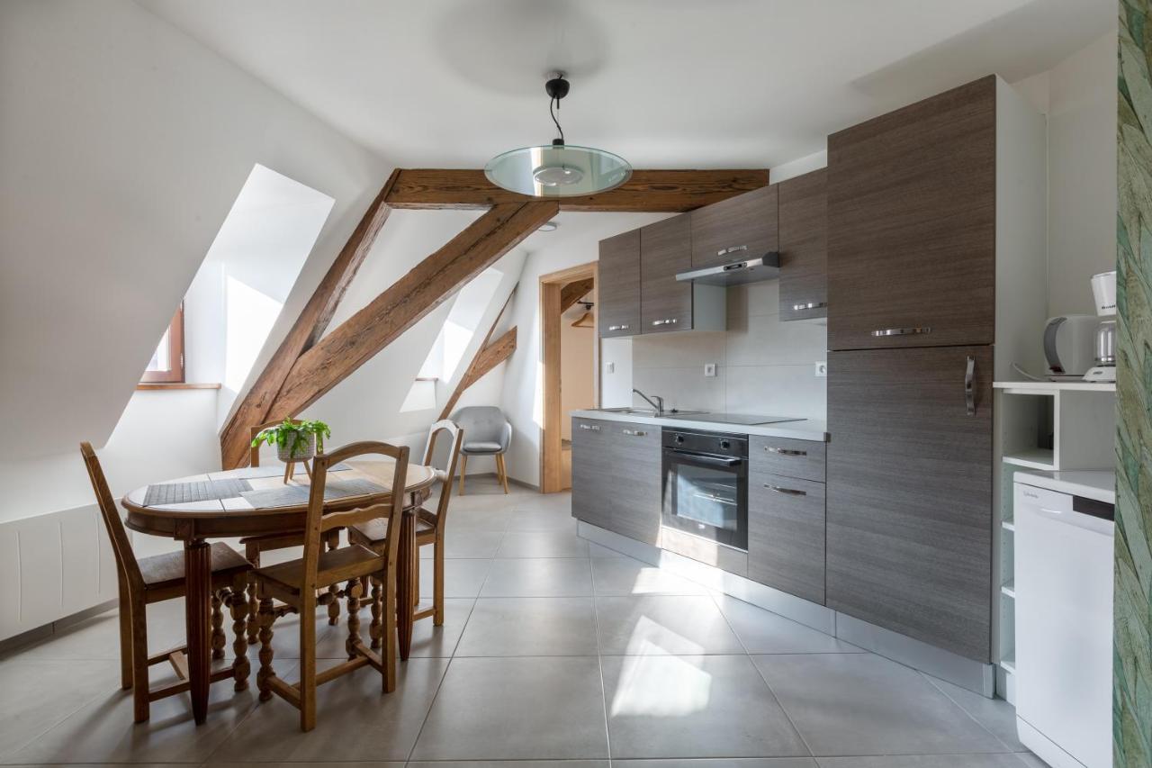 Le Rhenanus Jacques Spiegel - Ideal Pour Un Couple - Appartement Au Calme - Parking Gratuit Selestat Exterior photo