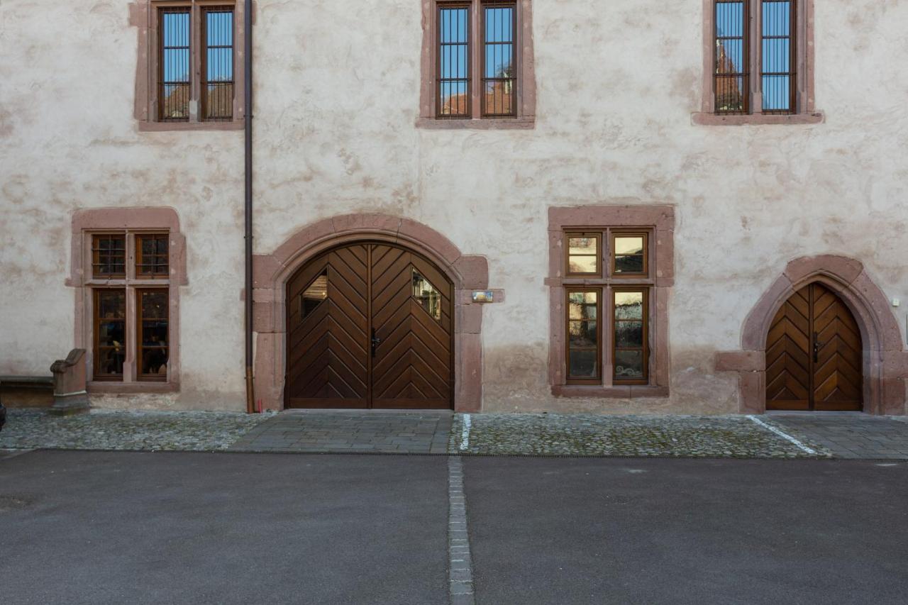 Le Rhenanus Jacques Spiegel - Ideal Pour Un Couple - Appartement Au Calme - Parking Gratuit Selestat Exterior photo